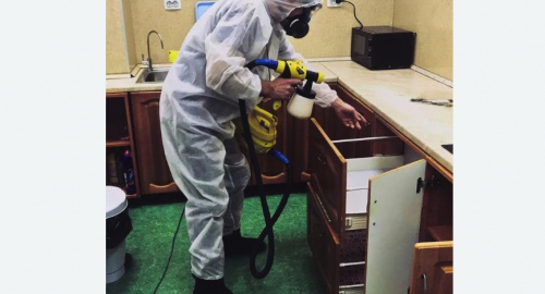 Уничтожение насекомых в квартире. Бугуруслан