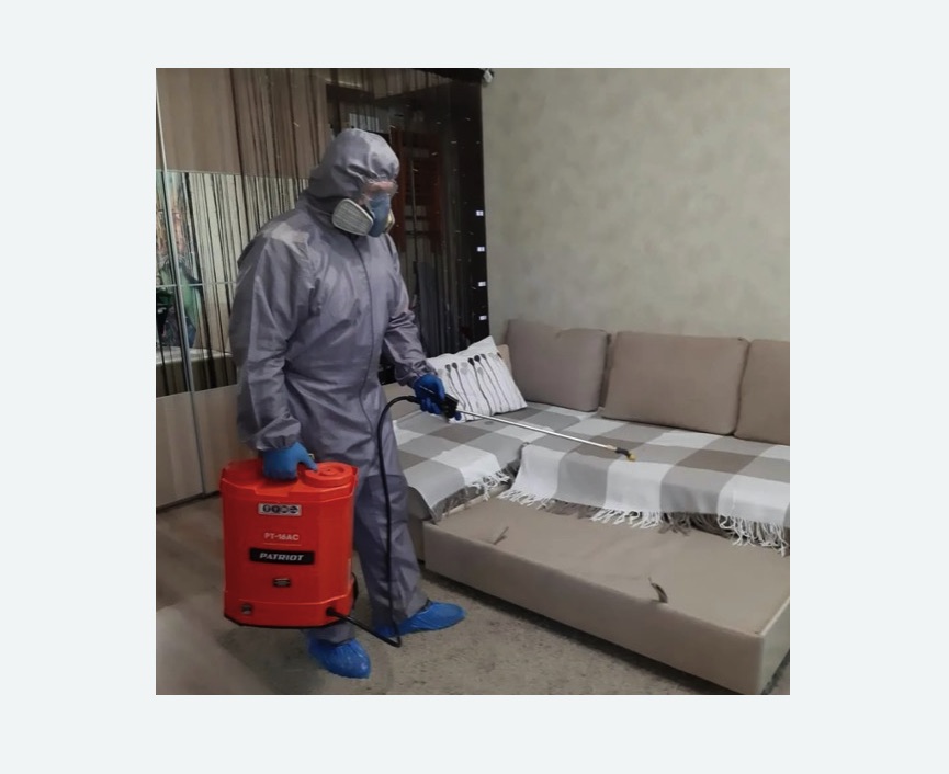 Обработка квартиры от блох в Бугуруслане Обработка квартиры от блох