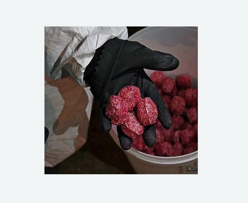 Обработка от крыс Обработка от крыс в Бугуруслане