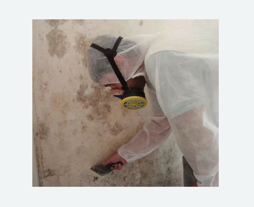 Обработка стен от плесени в Бугуруслане