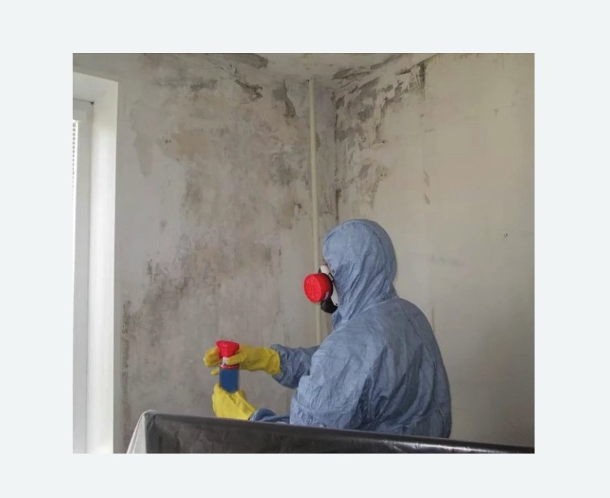 Удаление плесени в квартире в Бугуруслане