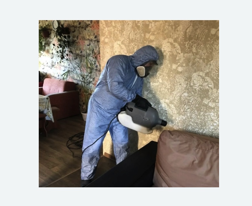 Уничтожение блох в квартире. Бугуруслан Уничтожение блох в квартире