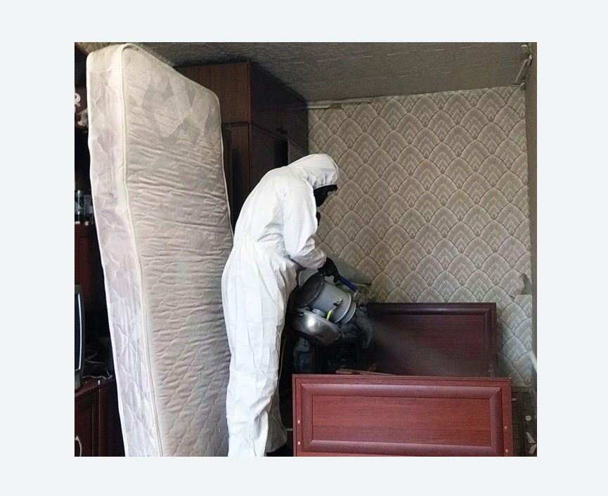 дезинфекция от клопов дезинфекция от клопов в Бугуруслане