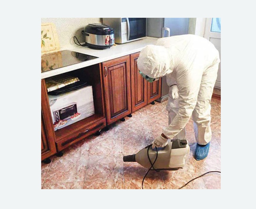 обработка квартиры от клопов в Бугуруслане обработка квартиры от клопов