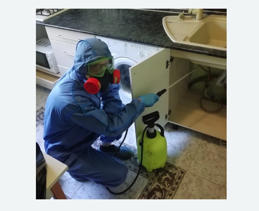 обработка от муравьев в квартире обработка от муравьев в квартире в Бугуруслане