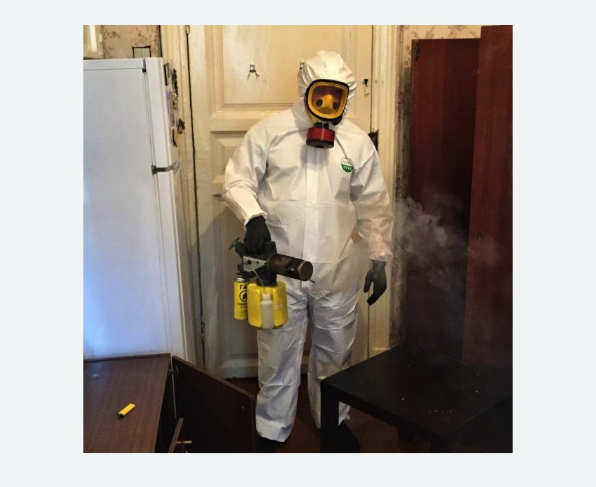 уничтожение муравьев в квартире уничтожение муравьев в квартире в Бугуруслане